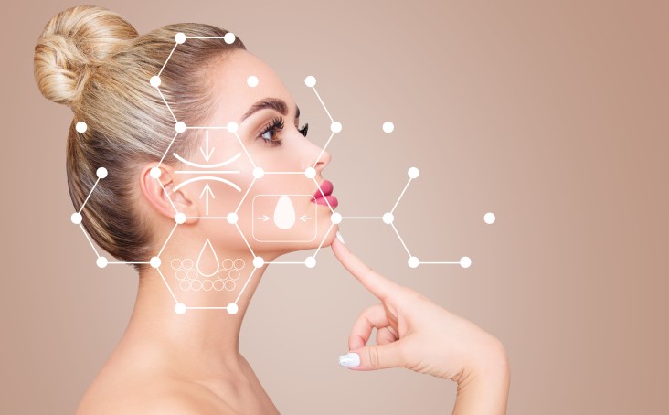 the terminology of cosmetologists